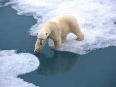 Arctic climate 'report card' reveals ‘rapid and dramatic changes’