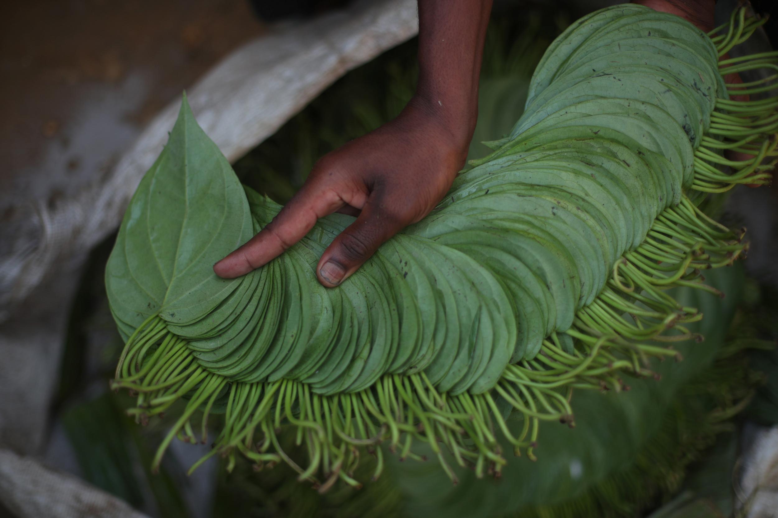 Faruk, 17, a refugee betel trader, left his village when the military opened fire on the Rohingya (Reuters)