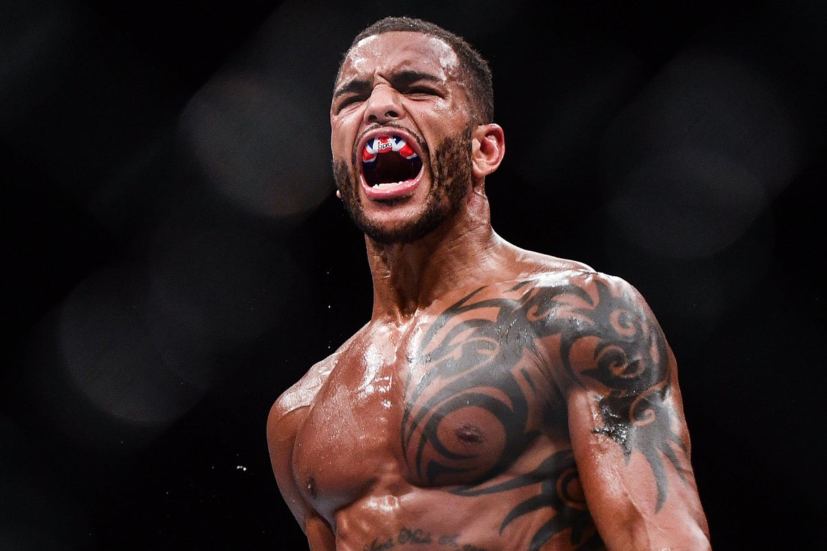 ‘I was chewed up and spat out – fighters deserve better’: Danny Roberts on starting fresh after post-UFC pain