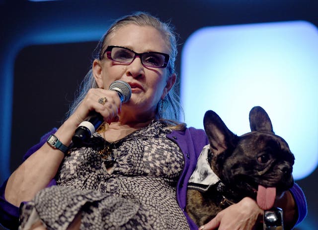 Carrie Fisher and dog Gary on stage during Future Directors Panel at the Star Wars Celebration 2016 at ExCel on July 17, 2016 in London, England. Credit: Ben A. Pruchnie/Getty Images for Walt Disney Studios.