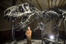 TV Review: The Real T-Rex with Chris Packham 