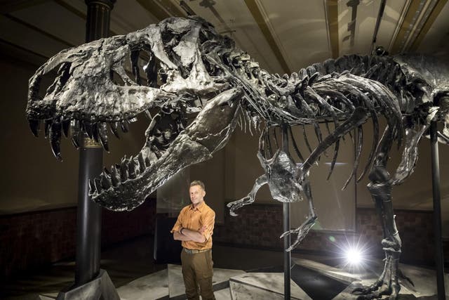Saur point: Chris Packham took on the T rex myths and wrestled them to the ground before grinding them to dust with his powerful jaws
