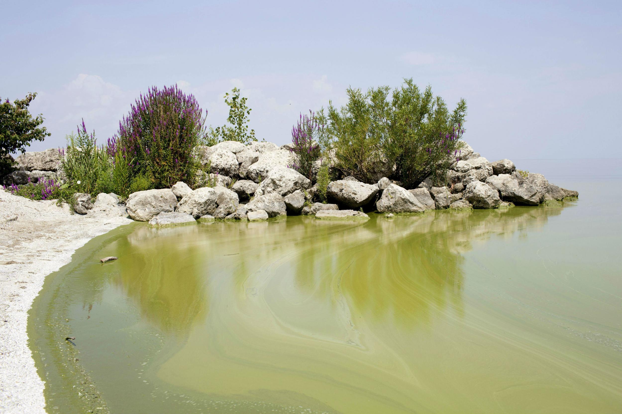 Fertiliser chemicals from agricultural runoff are the worst problem for Lake Erie