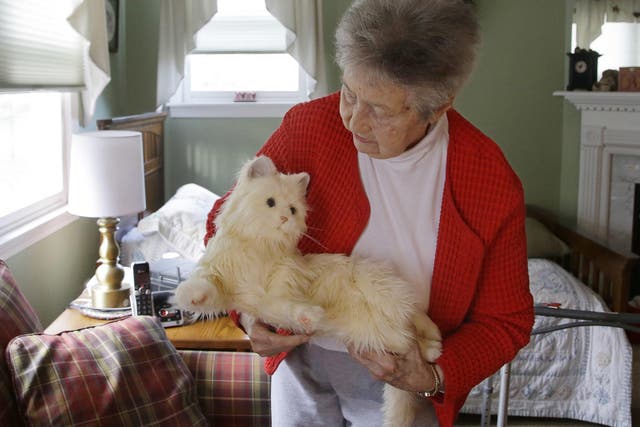 93-year-old Mary Derr holds her robot cat 'Buddy'