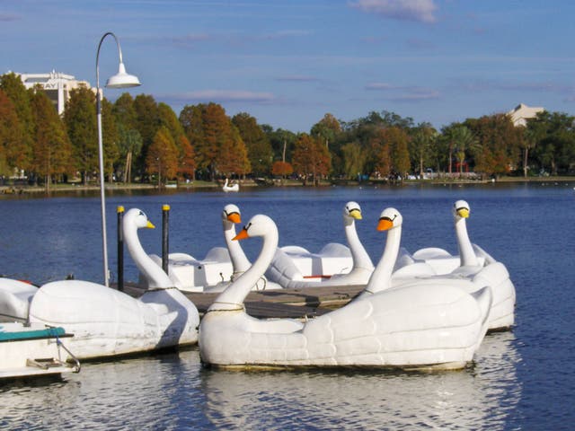 Swan boats at Lake Eola in Orlando