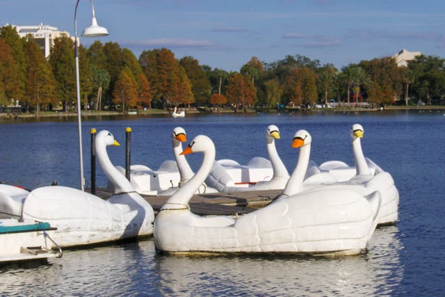 Swan boats at Lake Eola in Orlando