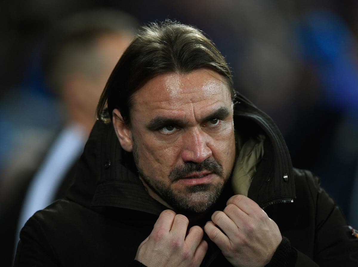 Norwich manager Daniel Farke facing player revolt over training methods ...