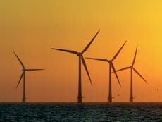 Renewable energy now makes up nearly third of all UK electricity