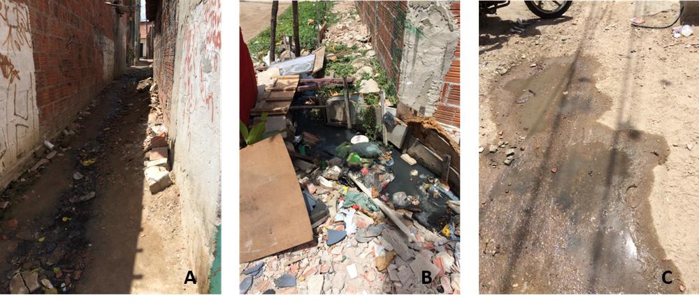 Favela in Fortaleza, north-east Brazil: A) wastewater stream between houses B) greywater mixed with waste C) puddle of water in the street containing mosquito larvae (Sue Charlesworth)