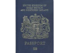 Government could have brought back blue passports without Brexit