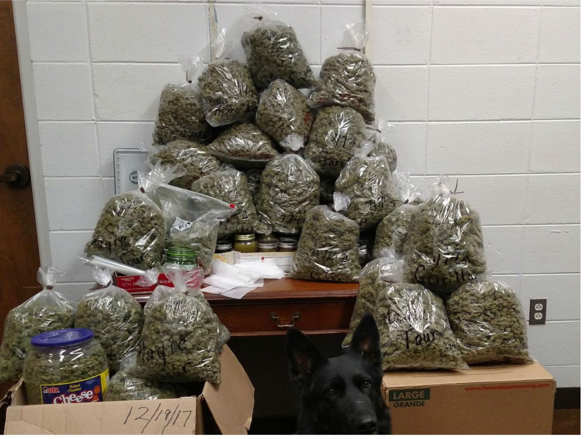 Officers pulled over an elderly couple who said the weed was for presents