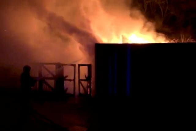 Firefighters tackle flames at London Zoo