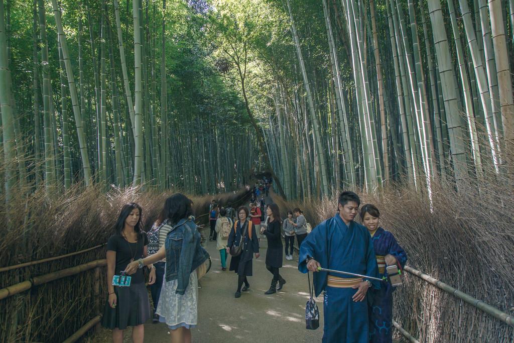 Arashiyama's bamboo forest is a place to forger yourself – and selfies