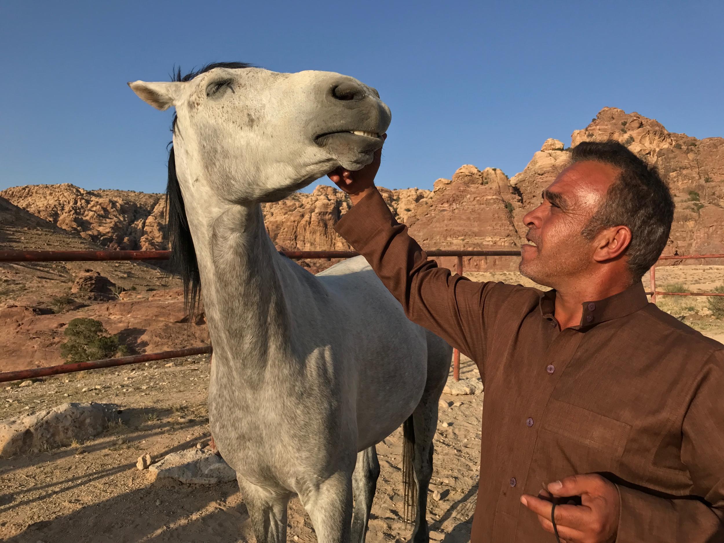 Equine therapy is the latest trend to hit Jordan