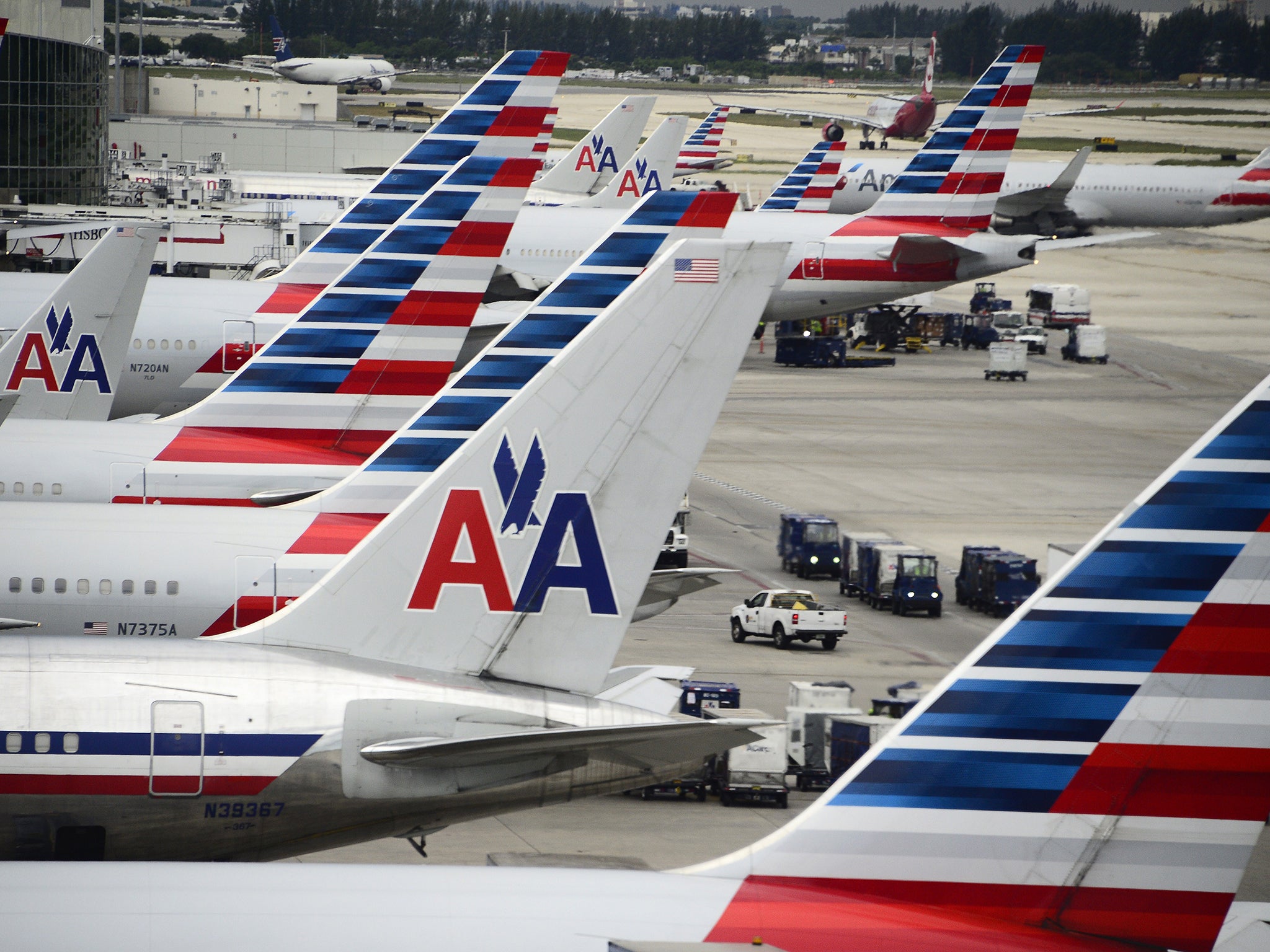 American Airlines has changed its pet policy