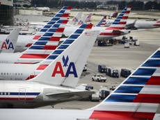 American Airlines bans turtles, ferrets, goats from flights