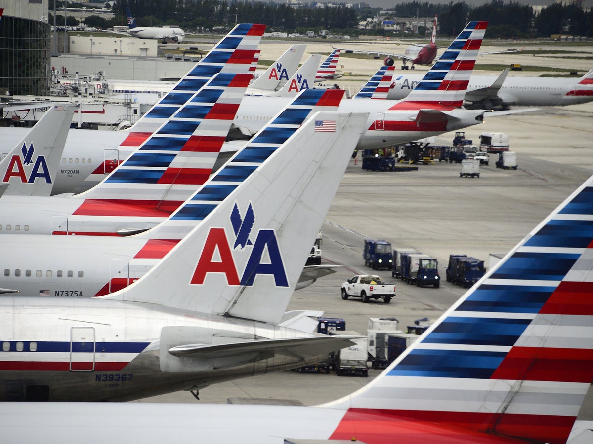 how do i fly with a pet on american airlines