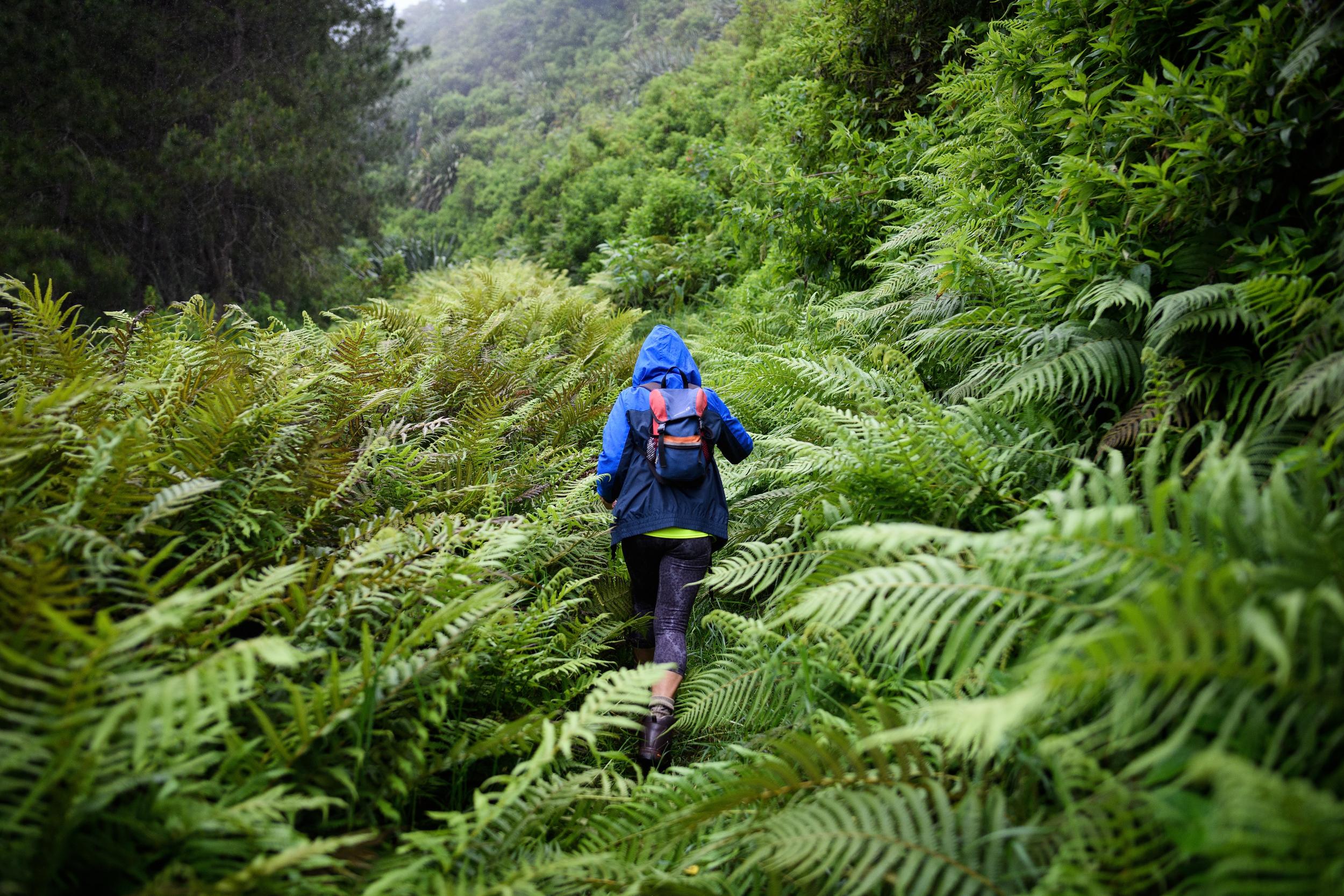 Hiking holidays (such as on St Helena) are getting more popular (Getty)