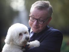 Don’t let Gove hugging a puppy distract you from the real issues