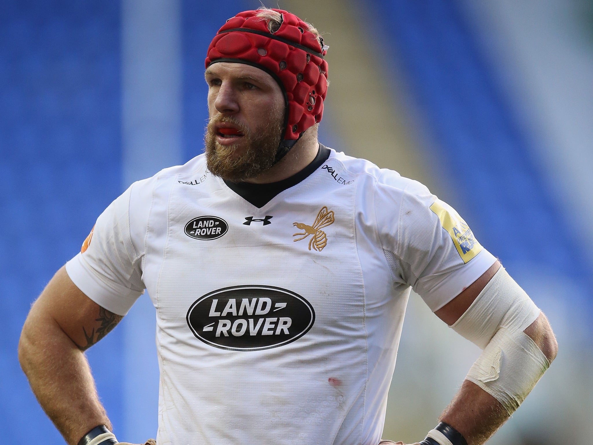 James Haskell has earned a recall to the squad