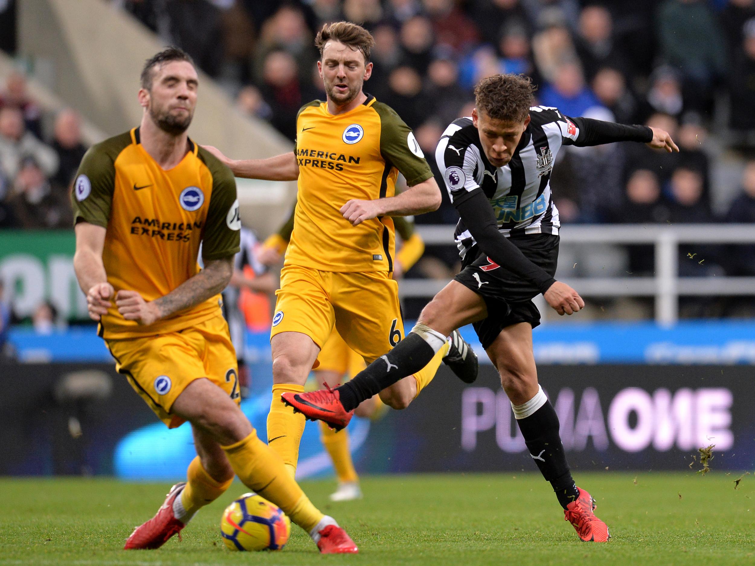 Dwight Gayle struggled to get through the Brighton defence