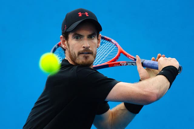Andy Murray is set to return to action at the Brisbane International