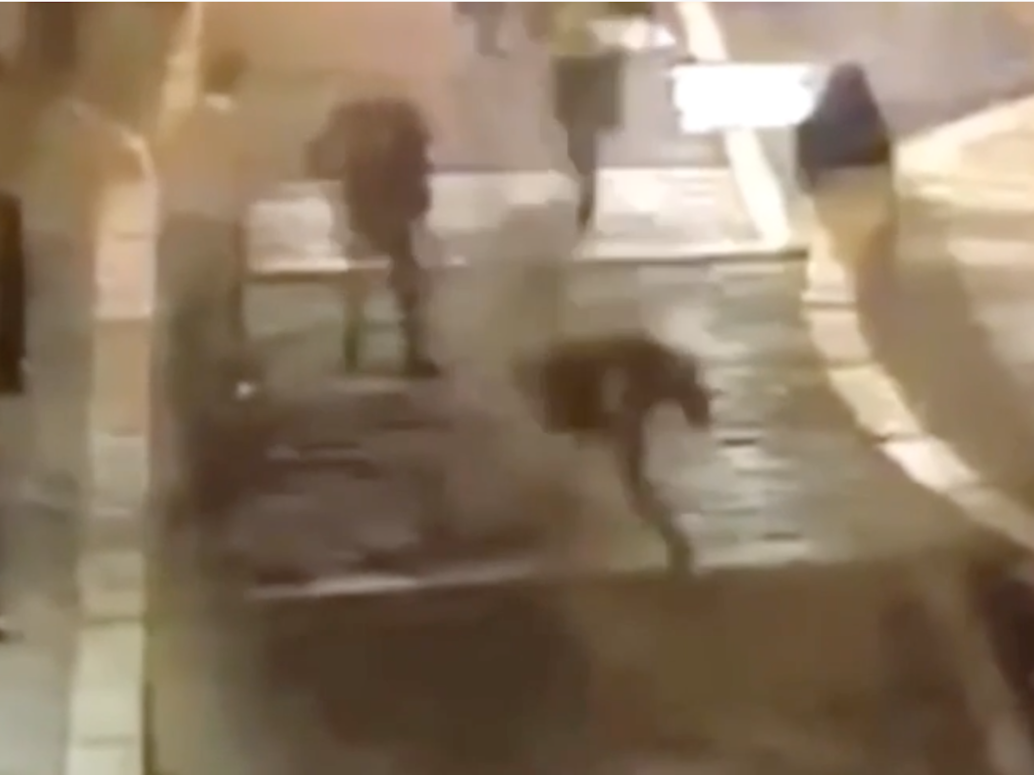 CCTV footage shows the moment the woman intercepted the fleeing suspect