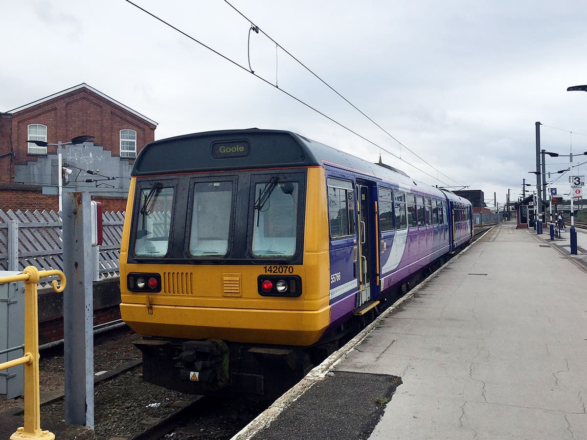 Pacer trains to be turned into village halls and community cafes under new government plans