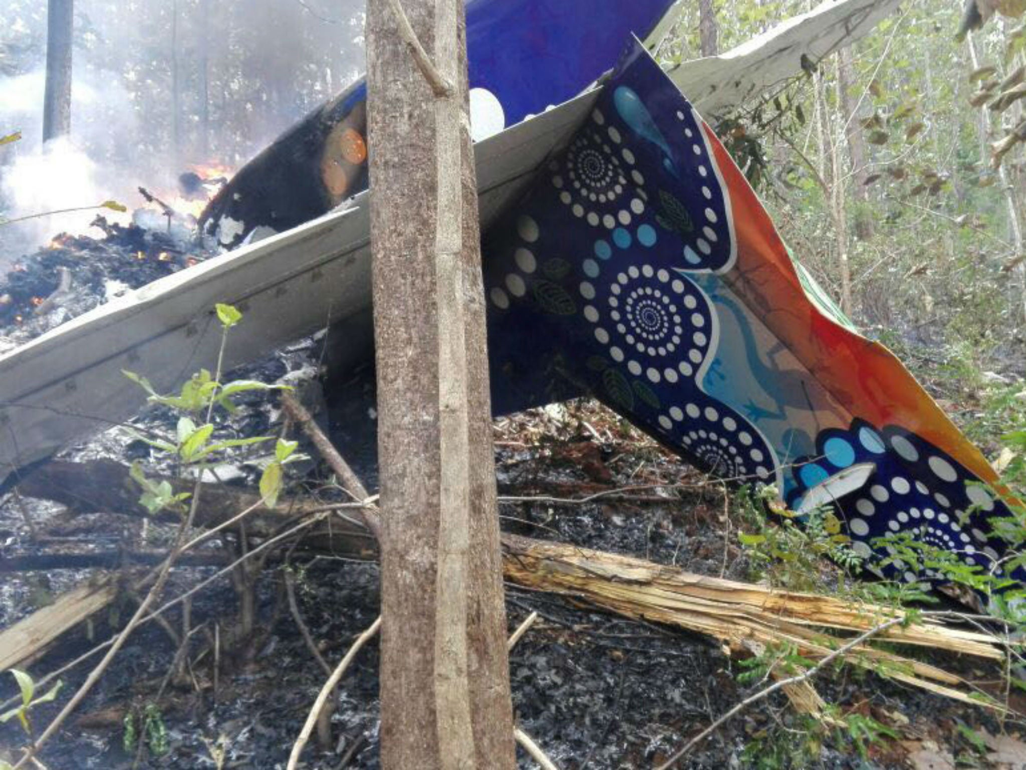 This photo released by Costa Rica's Public Safety Ministry shows the site of the crash