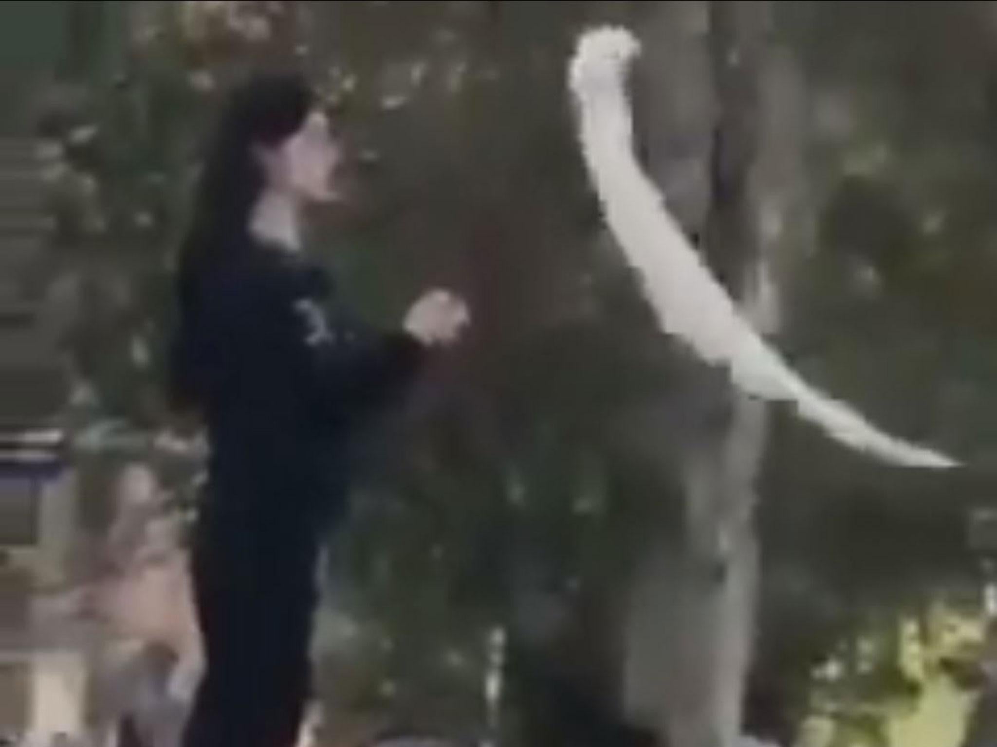 Footage shows Vida Movahed silently waving her hijab on a stick in the capital Tehran