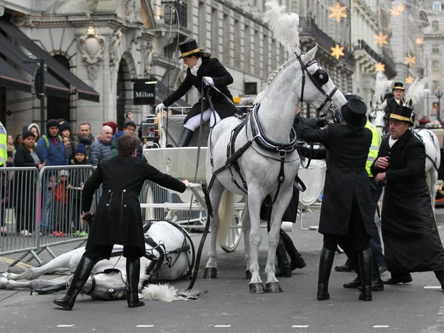 Marty collapsed at the New Year's Day Parade 2018 in Waterloo Place, London