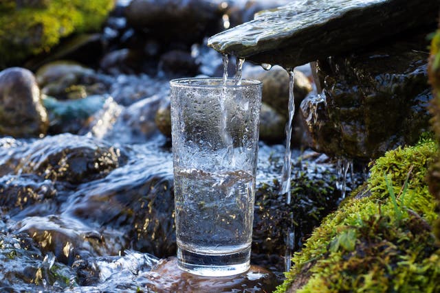 Founder of Live Water finds a 'raw water' spring: 'I am so stoked right now'