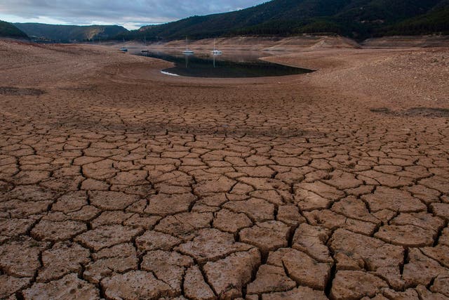 <p>Warming world: a drought-stricken reservoir in Spain</p>
