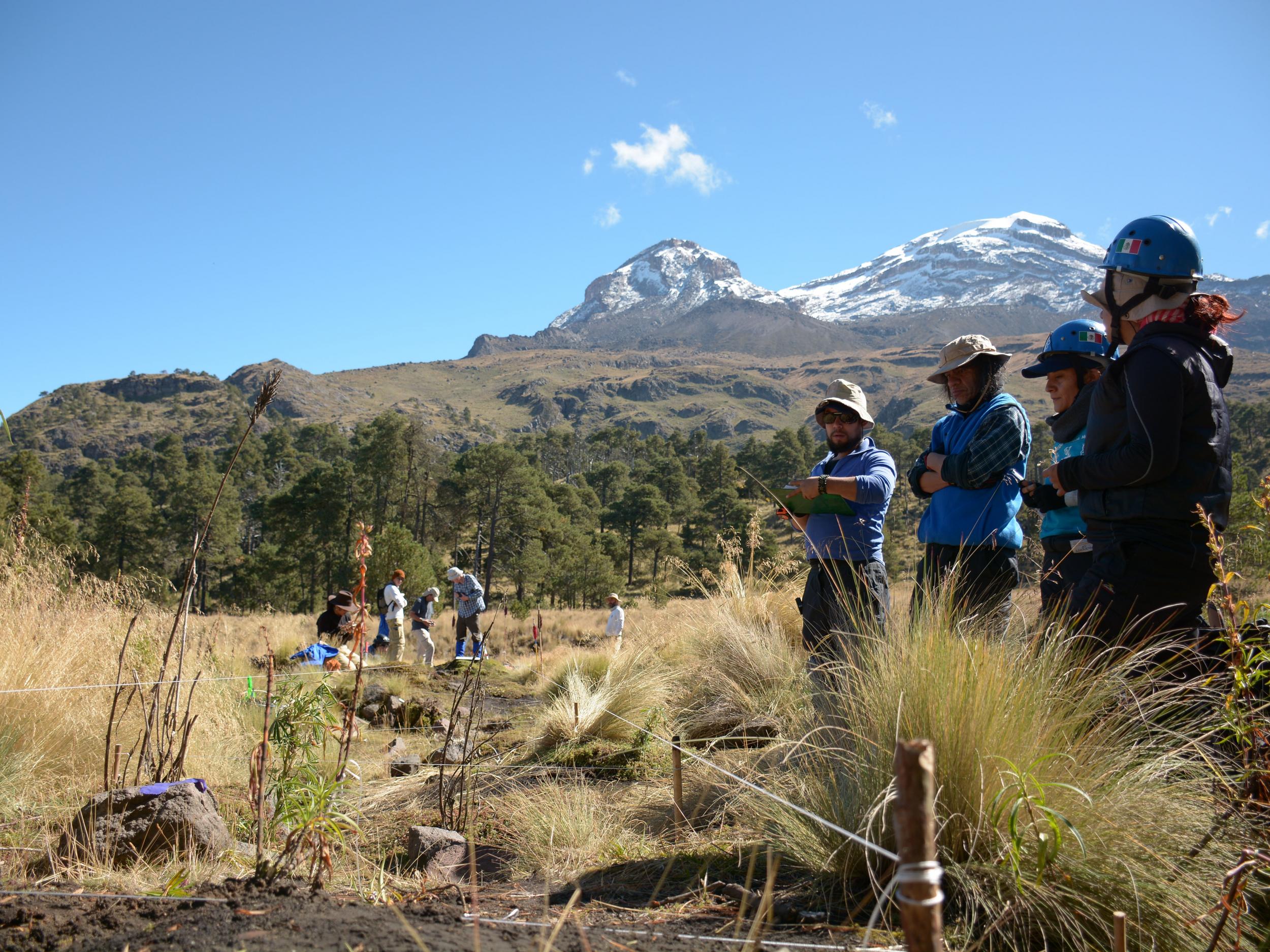 Archaeologists survey the excavation site at Nahualac ((Isaac Gomez/Proyecto Arqueologico Nahualac-INAH))