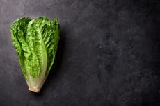 Warning issued over romaine lettuce after another E coli outbreak