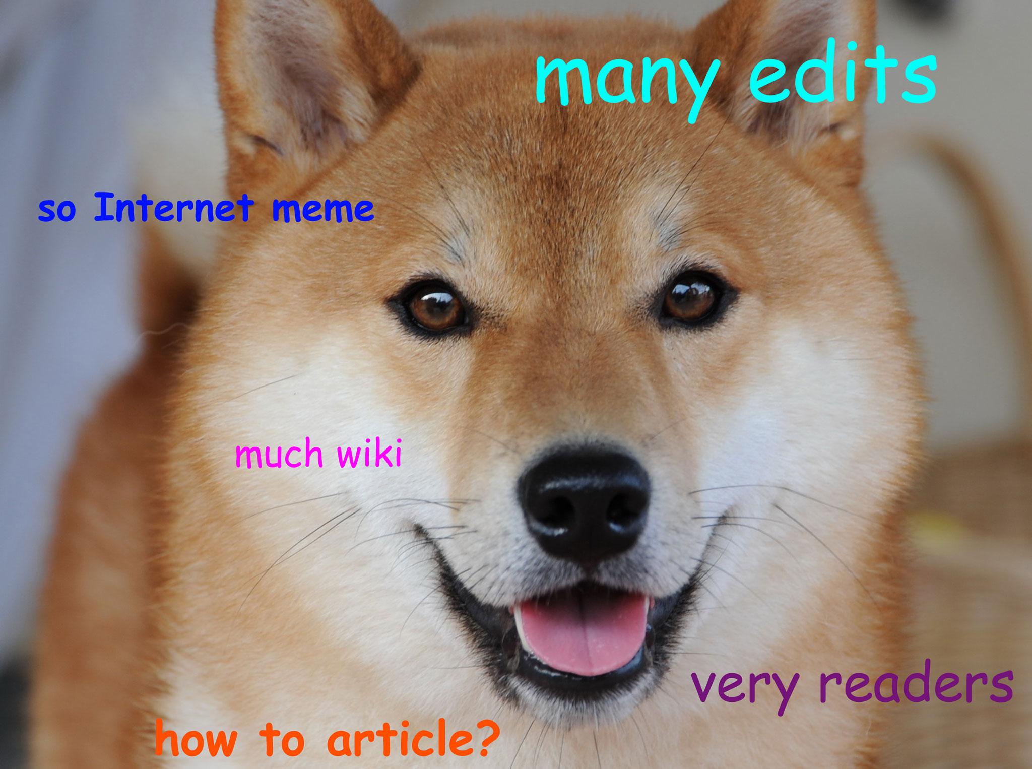 doge meme studying