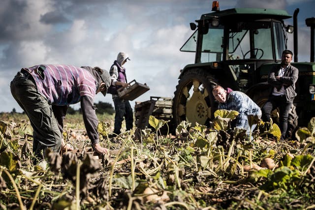 Agriculture is one of the industries identified as a risk for modern slavery in the UK