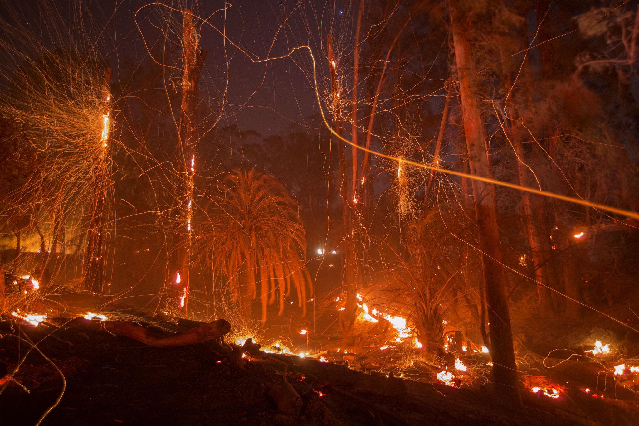 A strong wind blows embers from smoldering trees at the Thomas Fire on December 16, 2017 in Montecito, California.