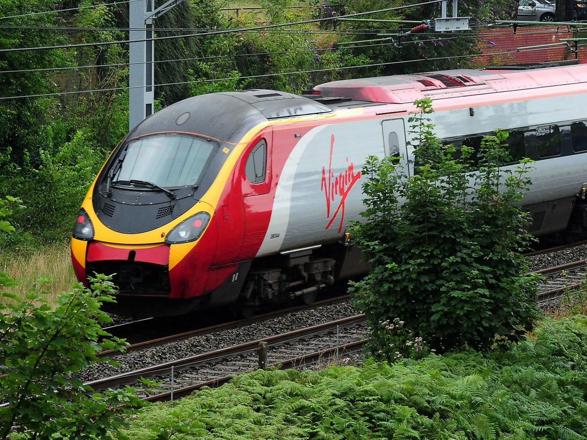 Virgin Trains Launches Bizarre Avocard Promotion For Those Unable To Get Millennial Railcard The Independent The Independent