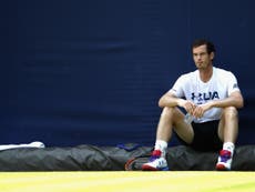Murray would do well to follow Federer's example on road to recovery
