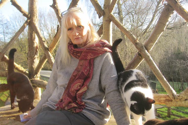 Celia Hammond with rescue cats at her 100-acre sanctuary in East Sussex