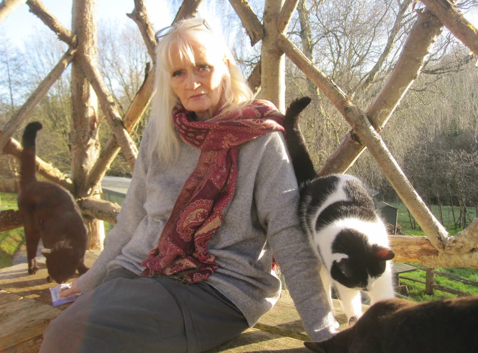 Celia Hammond with rescue cats at her 100-acre sanctuary in East Sussex