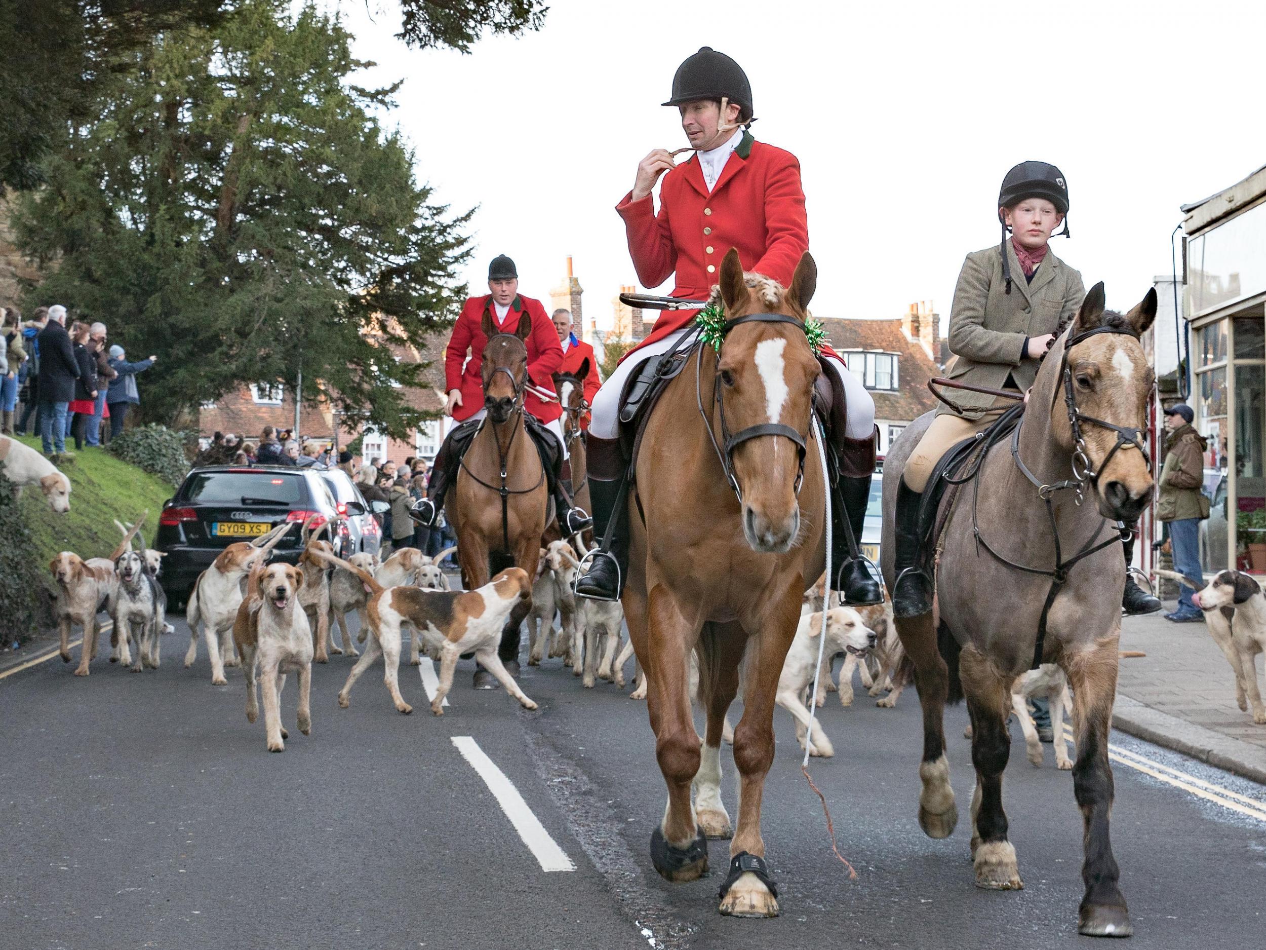 The East Sussex and Romney Marsh hunt, whose hounds strayed into the sanctuary