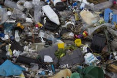 Recycling experts reveal the biggest causes of plastic pollution