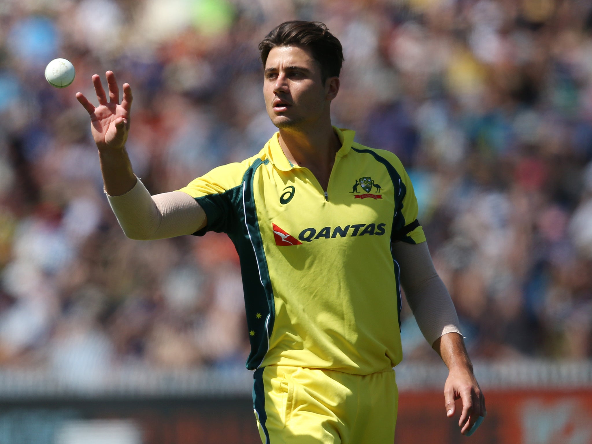 Marcus Stoinis wants Australia to maintain their momentum against England for the upcoming ODI series
