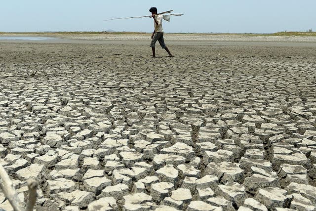 Scientists believe many of the negative effects of climate change could be avoided if more ambitious goals are pursued