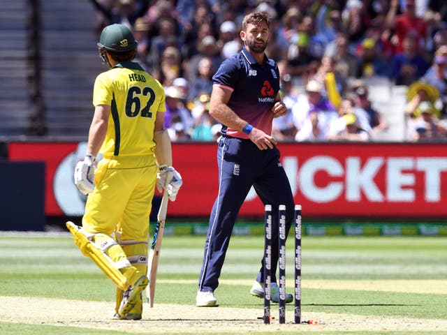 Jason Roy hits England's highest ever ODI score as 180 inspires five ...