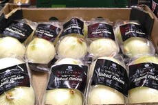 Lidl under fire for selling peeled onions in plastic