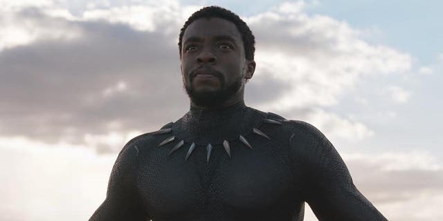 <p>Chadwick Boseman, who played King T’Challa in Black Panther, died in August 2020 </p>