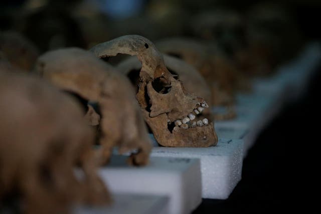 Scientists analysed DNA extracted from the teeth of skeletons in a cemetery in Mexico